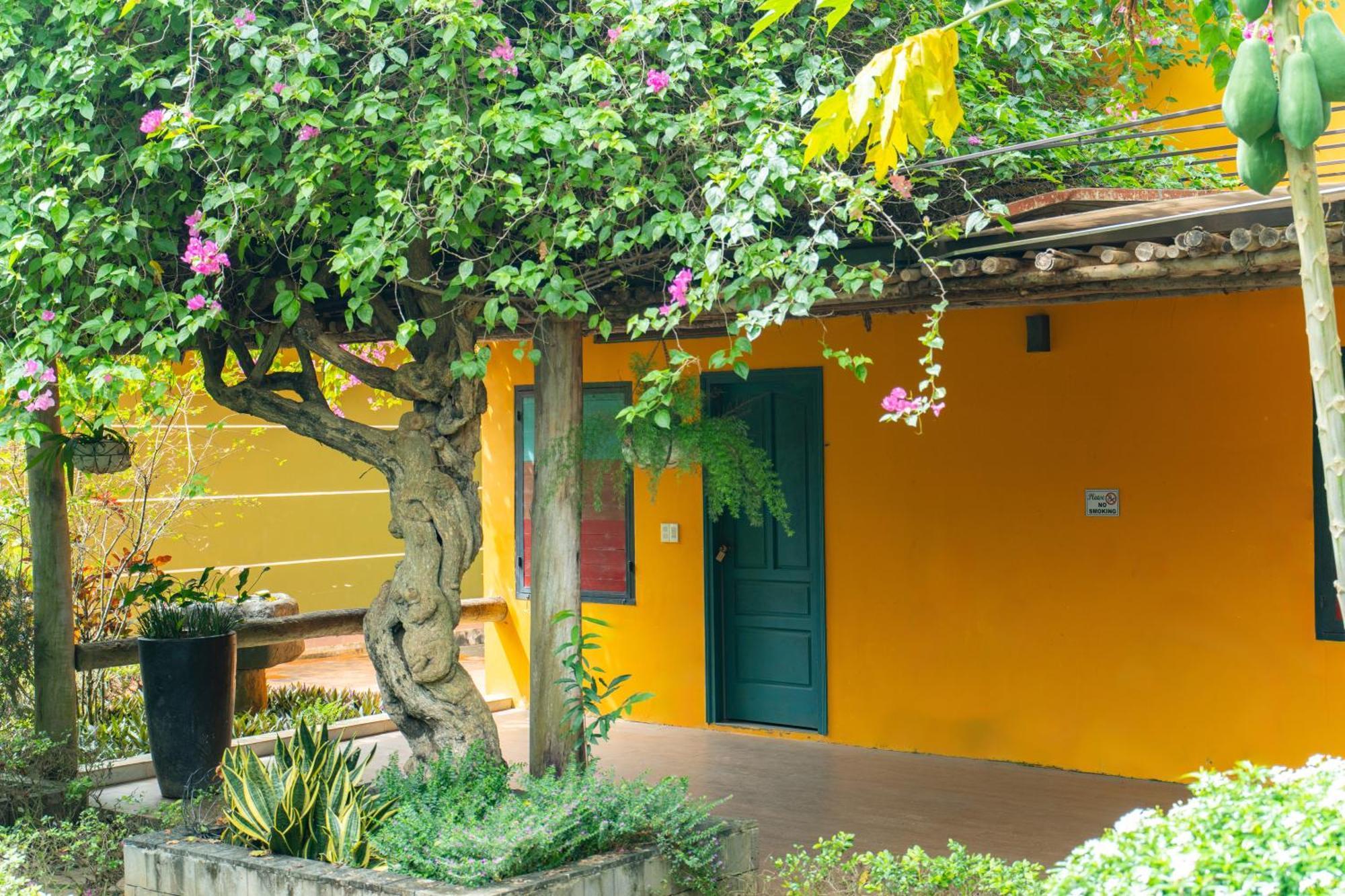 Greenfield Farmstay Vung Tau Bà Rịa Kültér fotó